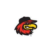 Rochester Red Wings