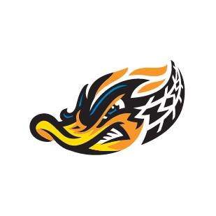 RubberDucks de Akron