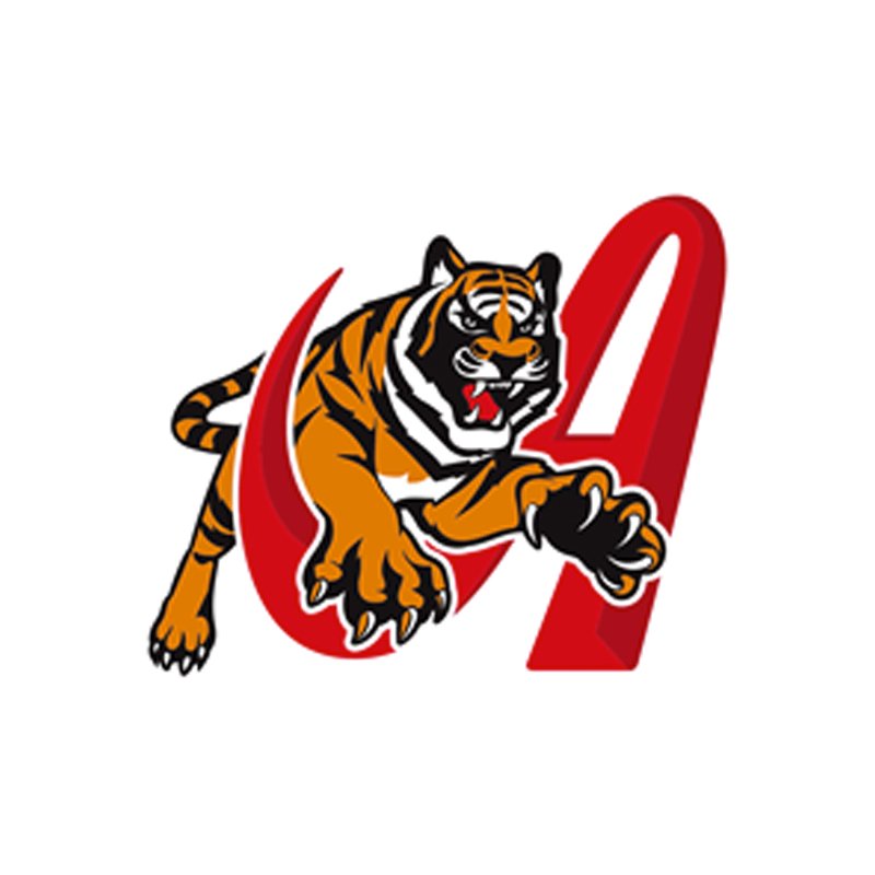 Tigres de Aragua